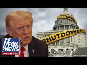 Read more about the article Trump takes aim at Dems, says they have ‘no future’: ‘KAMIKAZE PILOTS’