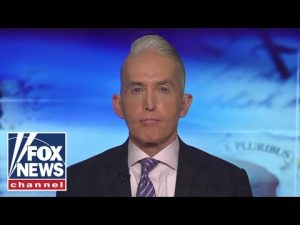 Read more about the article Trey Gowdy: Democrats are in the minority for a reason