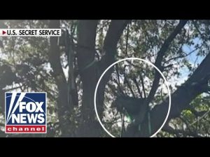 Read more about the article BREAKING: Hunting stand found with line of sight to Air Force One