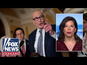 Read more about the article Dems are very excited to cover this up: Mary Katharine Ham