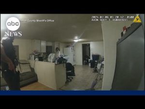 Read more about the article Trial of deputy charged with murder ‘boils down to self-defense’: Expert