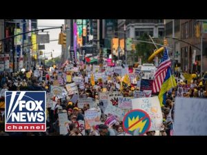 Read more about the article DETAILS: ‘Radicals’ who joined anti-Trump ‘No Kings’ protests revealed