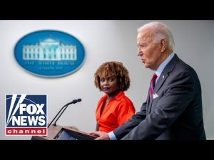 Read more about the article ‘HORRIBLE’: Former Biden official turns on Dems in new book