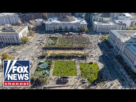 You are currently viewing ‘DEBUNKED’: Inside the ‘No Kings’ protests