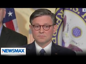 Read more about the article Mike Johnson: Americans suffering because Dems fear their radical base