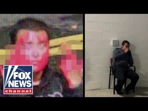 Read more about the article Man arrested for dumping paint on ICE facility seen visibly shaken