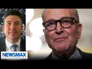 Read more about the article Americans feel the consequences of Schumer’s shutdown: Rep. Bryan Steil | National Report