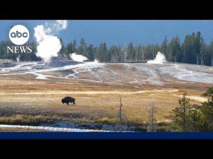 Read more about the article Nonprofit executive: ‘National parks should be closed during government shutdown’