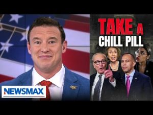 Read more about the article Dems’ full-blown identity crisis cracked open amid shutdown: Carl Higbie