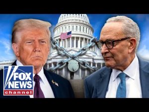 Read more about the article ‘HOLDING US HOSTAGE!’: Trump sends MAJOR message to Schumer and Senate Dems during shutdown