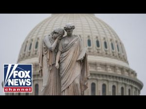 Read more about the article Dems ‘fighting for the sake of fighting’ as shutdown grinds on