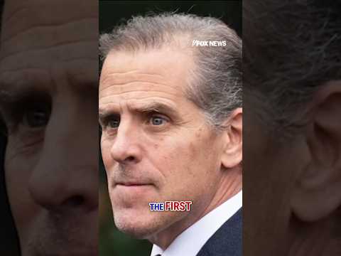 You are currently viewing Hunter Biden breaks silence on his pardon #shorts #foxnews #news #politics