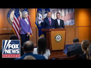 Read more about the article WATCH LIVE: House Dems hold hearing as shutdown enters 22nd day