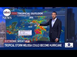 Read more about the article Tropical Storm Melissa takes aim on Caribbean