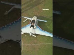 Read more about the article WATCH: Small plane makes emergency landing, injuring a pedestrian #shorts #usnews #planes