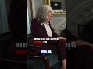 Read more about the article FAMILIES PAY THE PRICE: House Dem admits families will ‘suffer’ under a shutdown #shorts #news #usa