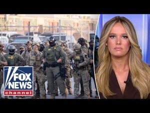 Read more about the article Tricia McLaughlin: This looks like obstruction of justice