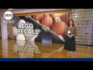 Read more about the article More than 6 million eggs recalled for possible salmonella contamination