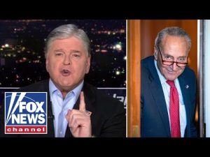 Read more about the article Schumer is ‘SCARED TO DEATH’ of this: Hannity
