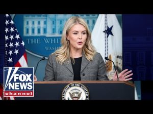Read more about the article WATCH LIVE: Karoline Leavitt holds White House press briefing