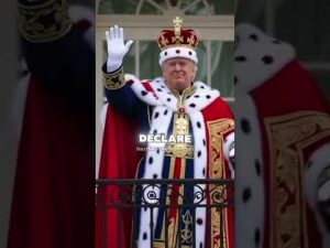 Read more about the article Democrats CHALLENGE Trump To CIVIL WAR During Chicago No Kings Protest