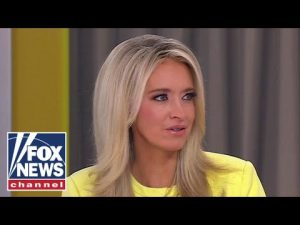 Read more about the article Everyone at CNN SCREAMED at me over this: McEnany
