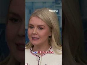 Read more about the article Karoline Leavitt calls out Democrats’ healthcare ‘hypocrisy’ #democrats #shorts #politics