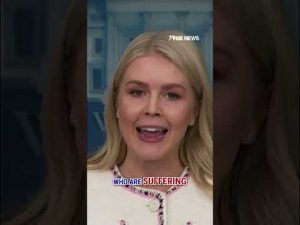Read more about the article Karoline Leavitt: The Democrats are playing ‘political games’  #shorts #fox #media #shutdown