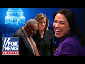 Read more about the article AOC vs Old Guard Dems Pelosi, Schumer: Shutdown further exposes party divide