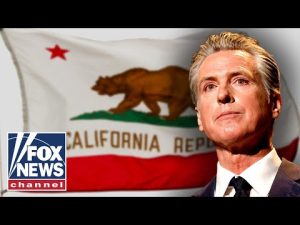 Read more about the article NEW: Blue state issued 62,000 CDLs to illegal immigrants, federal audit finds