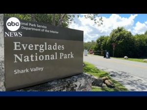 Read more about the article ‘It’s tough’: Federal employee on financial challenges of the government shutdown