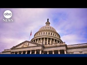 Read more about the article Federal workers miss 1st paychecks this week amid shutdown