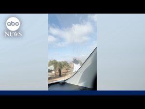Read more about the article Video shows Palestinian woman attacked by alleged Israeli settler in West Bank
