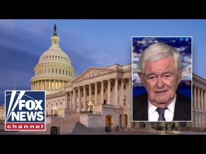 Read more about the article Newt Gingrich: This shutdown may be the ‘dumbest strategy’ in a while