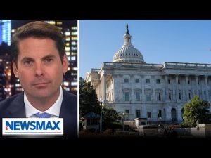 Read more about the article Finnerty: Dems shut government down just to ‘gain edge’ over Trump