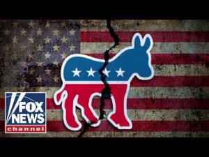 Read more about the article Dems will criticize ‘EVERYTHING’ about this, journalist argues