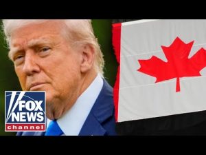 Read more about the article BREAKING: Trump slaps additional 10% tariff on Canada
