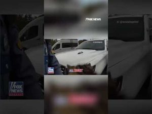 Read more about the article WATCH: Troopers rescue stranded kitten on a highway. #shorts  #foxnews #news #us #fox #usa #media