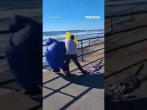 Read more about the article CHARGED: Man arrested for allegedly assaulting Trump supporter #shorts  #foxnews #news #us
