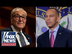 Read more about the article ‘DISGRACE’: NY congresswoman SLAMS Schumer, Jeffries
