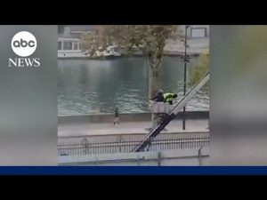 Read more about the article Art theft expert on next steps in Louvre investigation