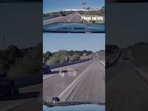 Read more about the article Hero jumps into action after semi loses tire on turnpike #foxnews #news #shorts #viral