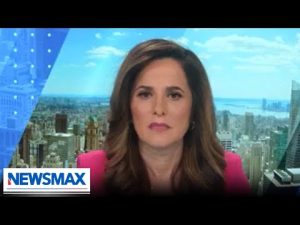 Read more about the article Zohran Mamdani’s ‘radical’ policies could lead to NYC’s downfall | Sunday Agenda