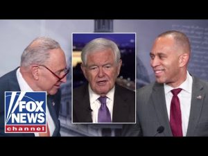 Read more about the article ‘THIS IS INSANITY’: Newt Gingrich ridicules Dems’ handling of shutdown on Capitol Hill