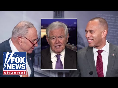 You are currently viewing ‘THIS IS INSANITY’: Newt Gingrich ridicules Dems’ handling of shutdown on Capitol Hill