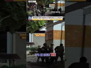 Read more about the article OUT COLD: Fist fight leaves anti-ICE rioter unconscious #shorts