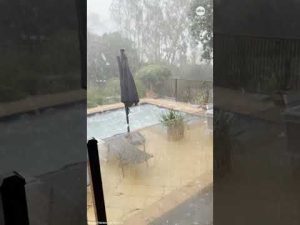 Read more about the article Huge hail pounds backyard pool in Australia