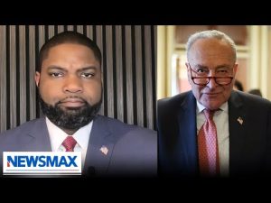 Read more about the article Schumer’s ‘trying to prove that he’s tough’: Byron Donalds