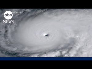 Read more about the article Hurricane Melissa officially becomes strongest storm in the world this year