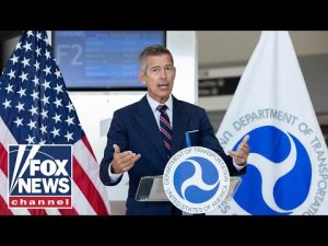 Read more about the article Sean Duffy sounds alarm over growing travel problems amid shutdown